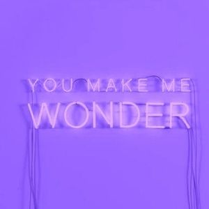 Meet your Posher, Annie